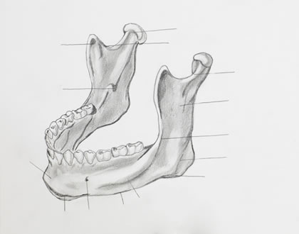 TMJ Treatment in Modesto, CA